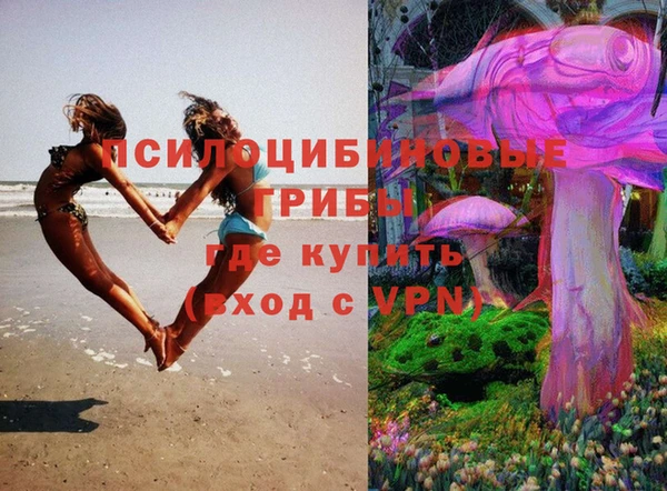 спайс Алексин