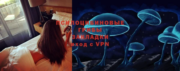 мяу мяу мука Арсеньев